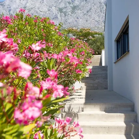 Villa Oaza Makarska